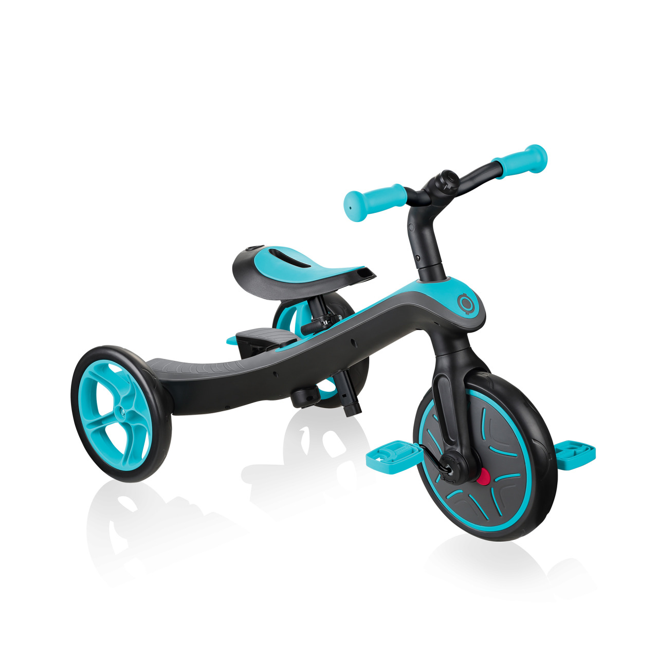 4 In 1 Tricycle Training Trike