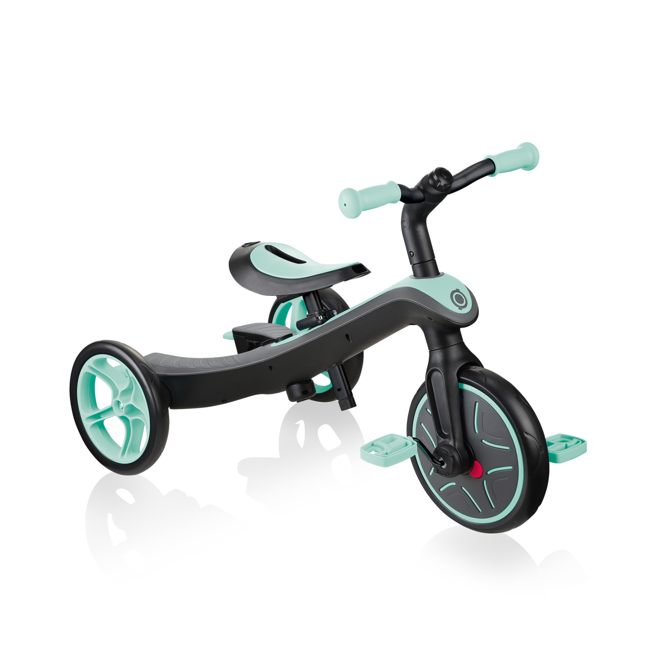 4 In 1 Tricycle Training Trike