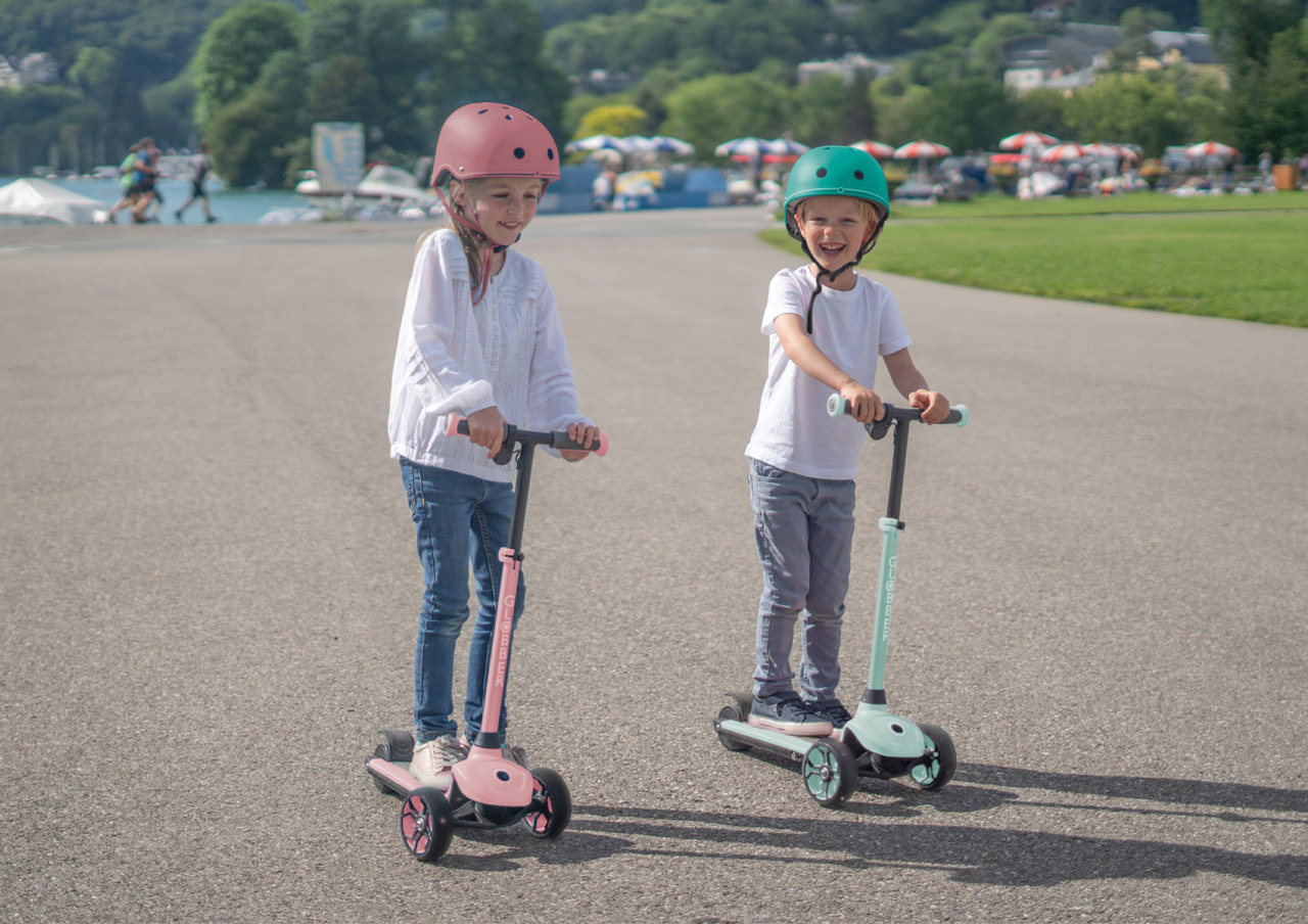 3 Wheel Electric Scooter